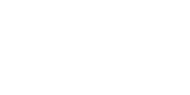 Redsen Consulting